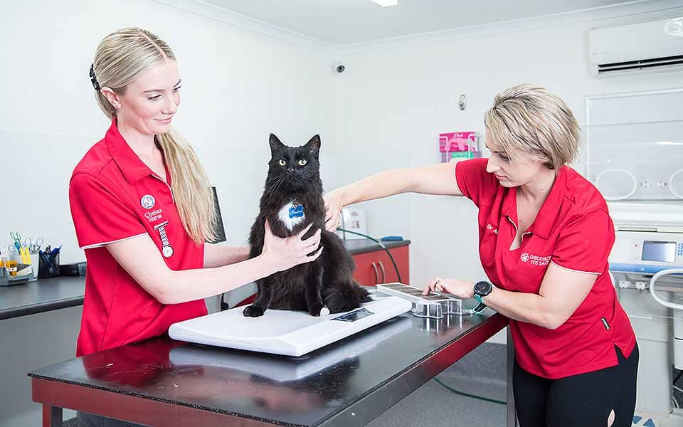 2 Emergency Vets 24/7