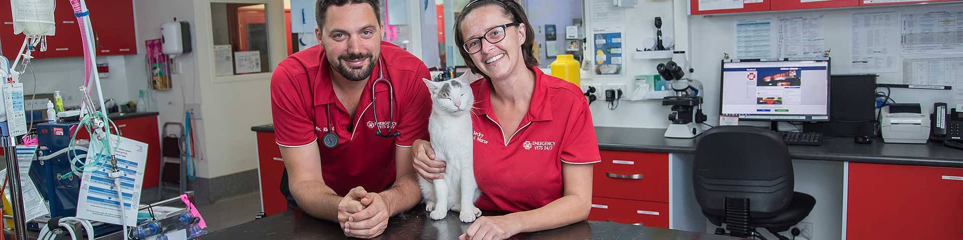 CAIRNS EMERGENCY VETS 